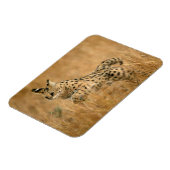 Serval (Leptailurus Serval) beim Springen Magnet (Linke Seite)