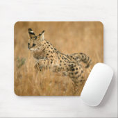 Serval (Leptailurus Serval) springend Mousepad (Mit Mouse)