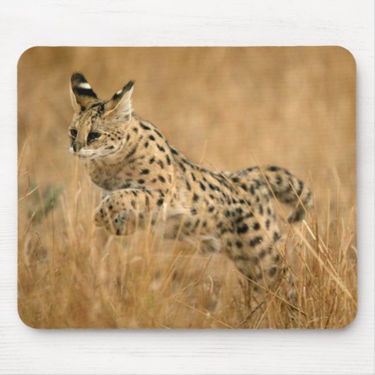 Serval (Leptailurus Serval) springend Mousepad (Vorne)