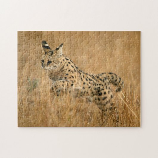 Serval (Leptailurus Serval) springend Puzzle (Horizontal)