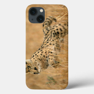 Serval (Leptailurus Serval) springt Case-Mate iPhone Hülle