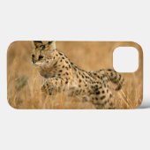 Serval (Leptailurus Serval) springt Case-Mate iPhone Hülle (Rückseite (Horizontal))