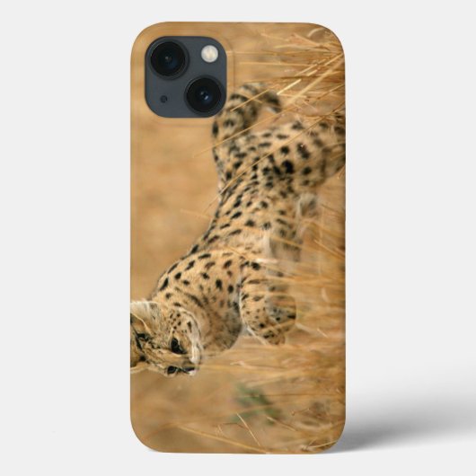 Serval (Leptailurus Serval) springt Case-Mate iPhone Hülle (Rückseite)