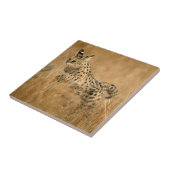 Serval (Leptailurus Serval) springt Fliese (Seite)