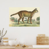 Serval Poster (Küche)