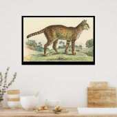 Serval Poster (Küche)