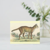 Serval Postkarte (Stehend Vorderseite)