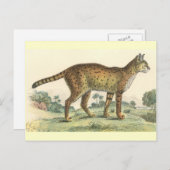 Serval Postkarte (Vorne/Hinten)