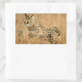 Serval Rechteckiger Aufkleber (Tasche)