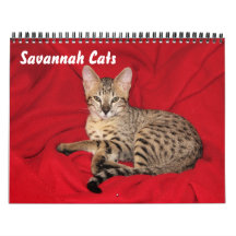 Serval Savannah Cat Calendar