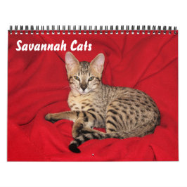 Serval Savannah Cat Calendar Kalender