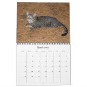Serval Savannah Cat Calendar Kalender (Mär 2027)