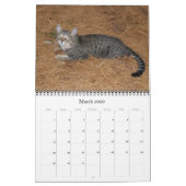 Serval Savannah Cat Calendar Kalender (Mär 2026)