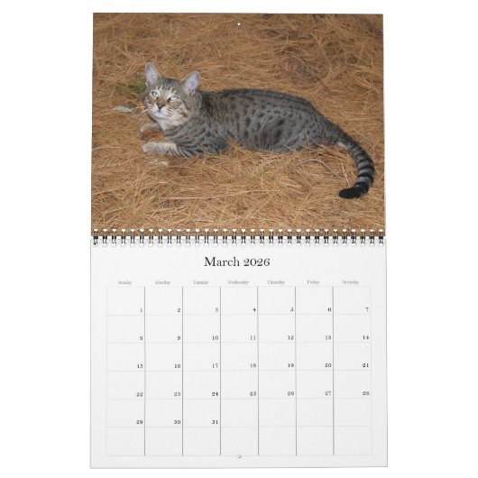 Serval Savannah Cat Calendar Kalender (Mär 2026)