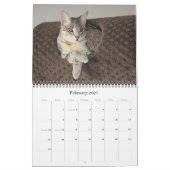 Serval Savannah Cat Calendar Kalender (Feb 2027)