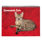 Serval Savannah Cat Calendar Kalender (Titelbild)