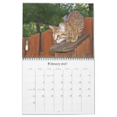 Serval Savannah Cat Calendar Kalender (Feb 2027)