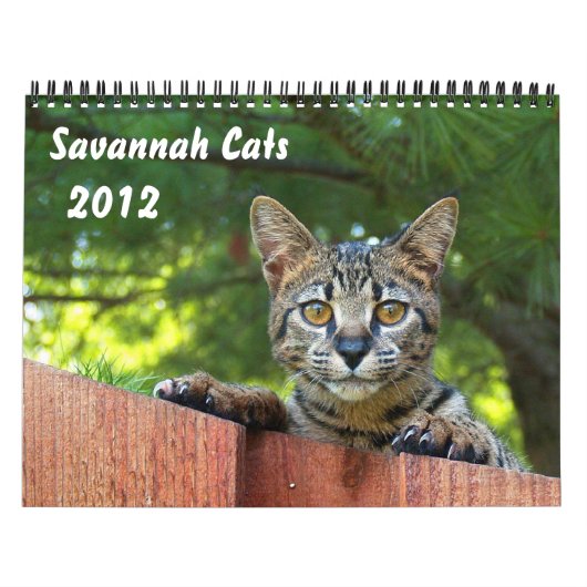 Serval Savannah Cat Calendar Kalender (Titelbild)