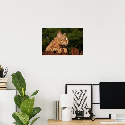 Serval Savannah Kitten USA Canvas Print Poster (Heimbüro)