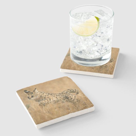 Serval Steinuntersetzer (Seitenansicht)