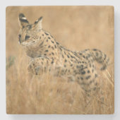 Serval Steinuntersetzer (Vorderseite)