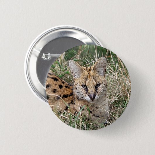 Servalkatze, die sich im Gras entspannt Button (Vorne & Hinten)