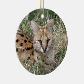Servalkatze, die sich im Gras entspannt Keramik Ornament (Rechts)