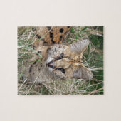 Servalkatze, die sich im Gras entspannt Puzzle (Horizontal)