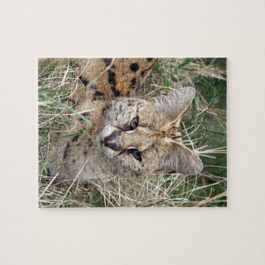 Servalkatze, die sich im Gras entspannt Puzzle (Horizontal)