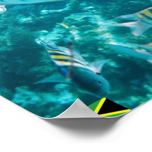 Serve-Dur Poster (Ecke)