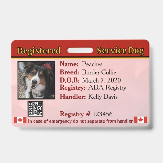 Service Dog Canada Abzeichen Ausweis (Vorderseite)