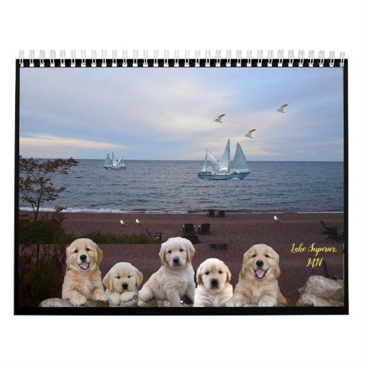 Service-Dog-Kalender Kalender (Titelbild)