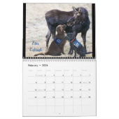 Service-Dog-Kalender Kalender (Feb 2026)