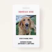Service Hund-ID-Abzeichen Ausweis (Vorderseite)