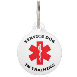 Service-Hund in der Schulung Haustiermarke