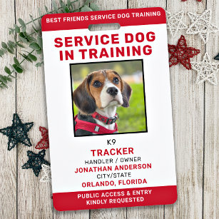 Service-Hund in Training-ID-Karte Personalisiertes Ausweis
