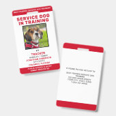 Service-Hund in Training-ID-Karte Personalisiertes Ausweis (Vorder- & Rückseite)