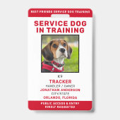 Service-Hund in Training-ID-Karte Personalisiertes Ausweis (Vorderseite)