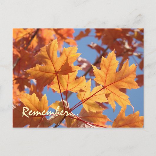 Service-Postkarten Erinnerungen Jährliche Servicez Postkarte (Vorderseite)