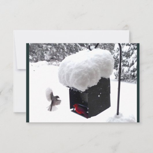 Serviceman, Postman, UPS, FedEx, Tip-Card Einladung (Vorderseite)