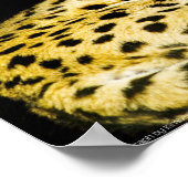 Servierdruck Poster (Ecke)