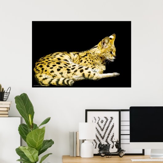 Servierdruck Poster (Heimbüro)