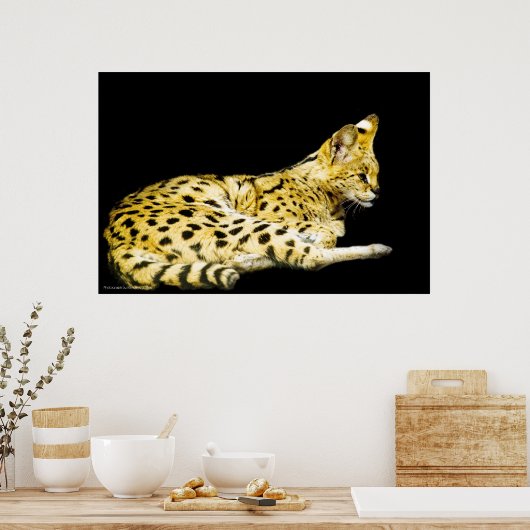 Servierdruck Poster (Küche)