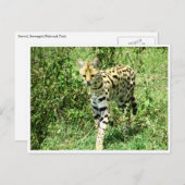 servieren postkarte (Vorne/Hinten)