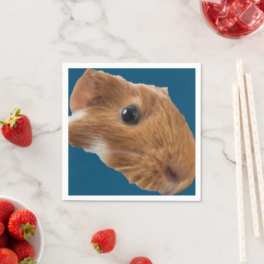 Serviette (Beispiel)