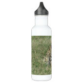 Servkatze Wasserflasche aus nicht rostendem Stahl Edelstahlflasche (Links)