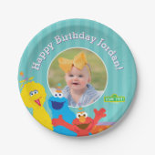 Sesame Pals Birthday Pattern Pappteller (Vorderseite)