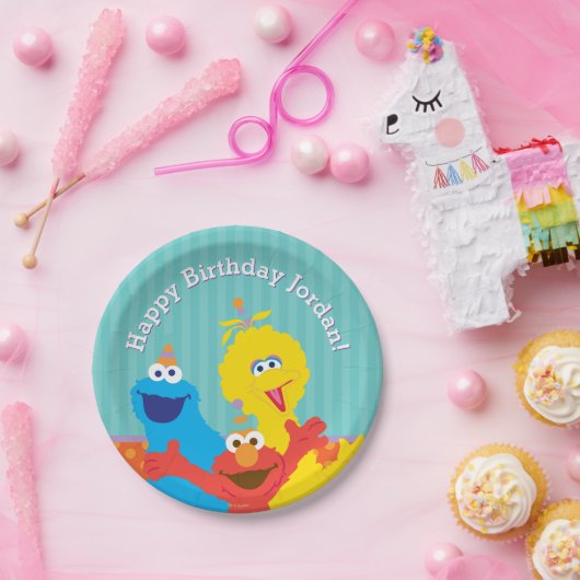 Sesame Pals Birthday Pattern Pappteller (Party)