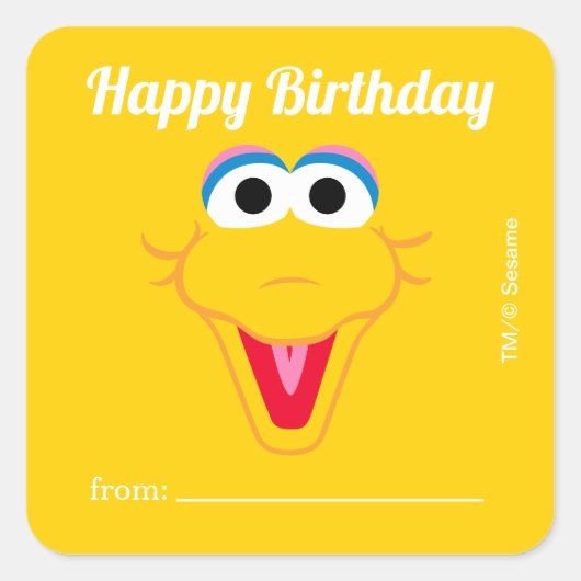Sesame Street Big Bird | Ein Geschenk von - Geburt Quadratischer Aufkleber (Vorderseite)