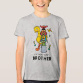 Sesame Street Characters & Street Sign Birthday Tr Tri-Blend Shirt (Vorderseite)